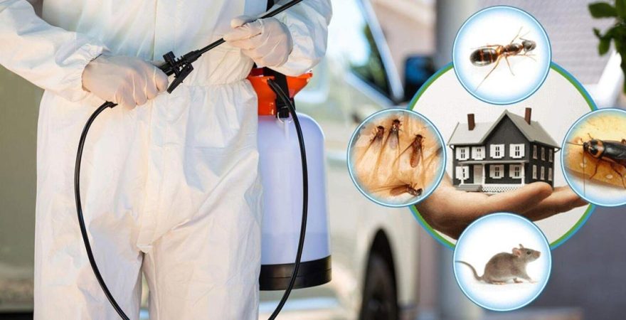 Derepazarı Böcek İlaçlama